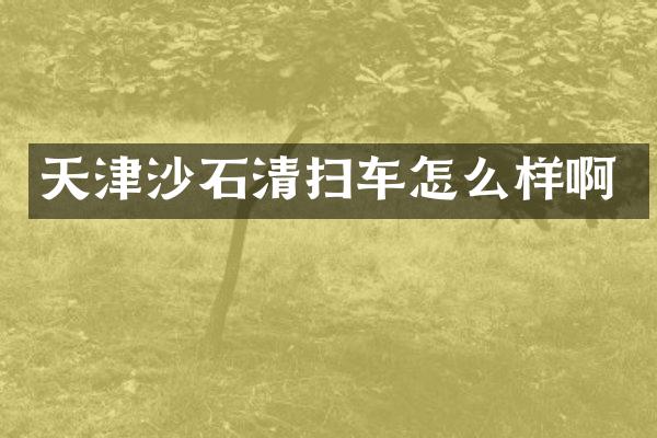 天津沙石清扫车怎么样啊