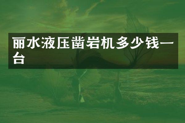 丽水液压凿岩机多少钱一台