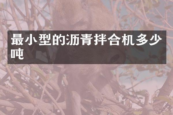 最小型的沥青拌合机多少吨