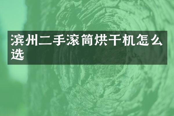 滨州二手滚筒烘干机怎么选