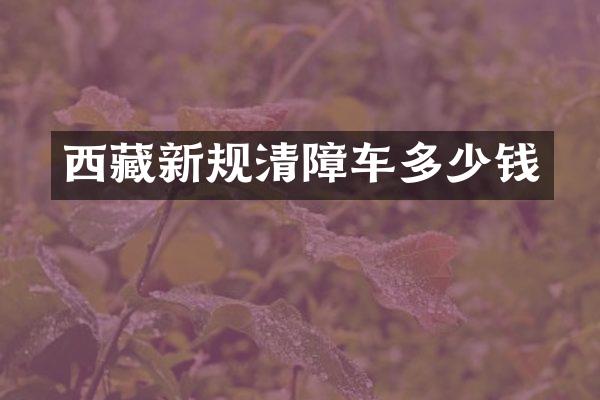 西藏新规清障车多少钱
