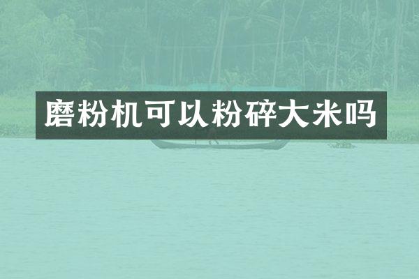 磨粉机可以粉碎大米吗