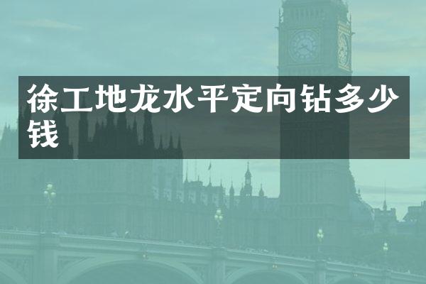 徐工地龙水平定向钻多少钱