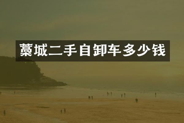 藁城二手自卸车多少钱