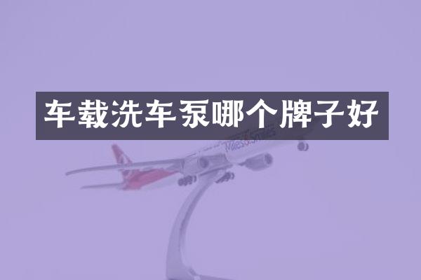 车载洗车泵哪个牌子好