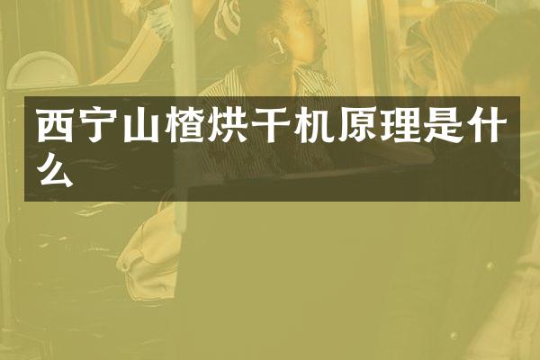 西宁山楂烘干机原理是什么